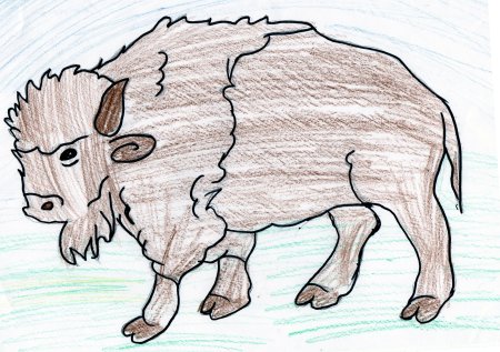 Рисование зубра