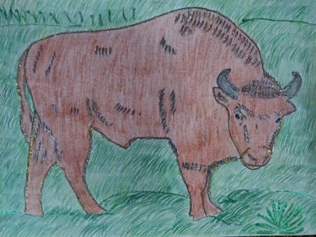 Рисование зубра