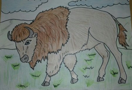 Рисование зубра