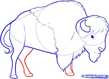 ЗУБР поэтапное рисование для детей