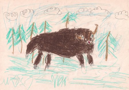 Рисование зубра