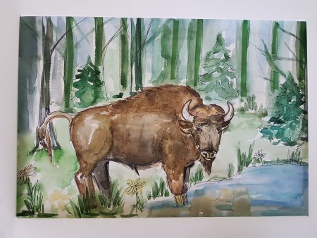 ЗУБР раскраска