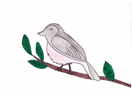 Соловей картина