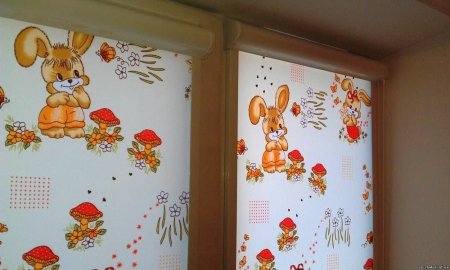 Рулонные шторы в детских садах