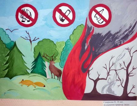 Рисование экология старшая группа