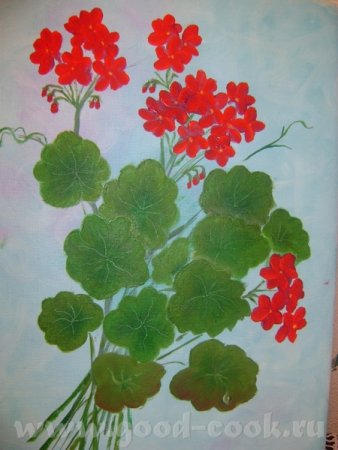 Герань бегония фиалка
