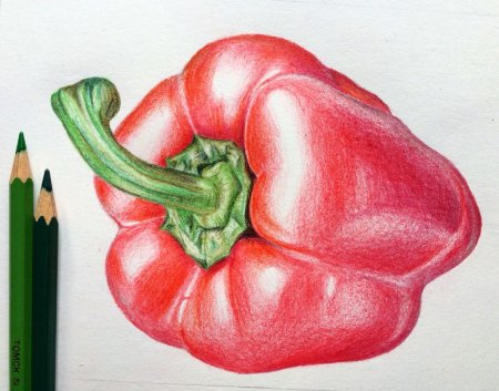 Овощи цветными карандашами