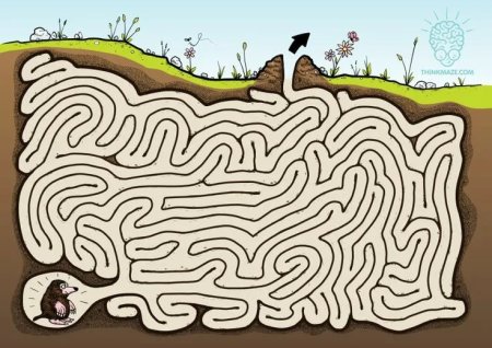 Лабиринты для детей
