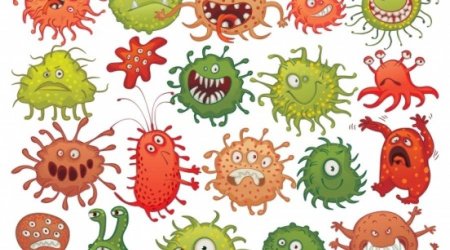 Микробы для дошкольников