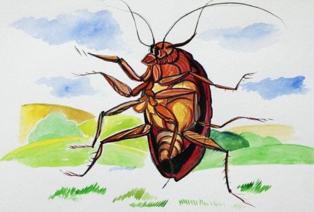 Чуковский Муха Тараканище