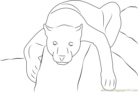 Детский рисунок пантера (49 фото)