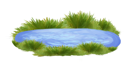 Дети на озере