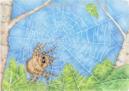 Паутина Спайдермена