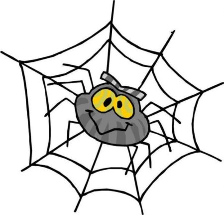 Паук и паутина для детей