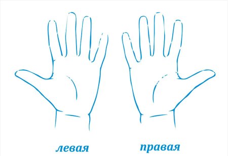 Правая и левая рука