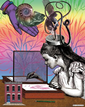 Воображение мозг