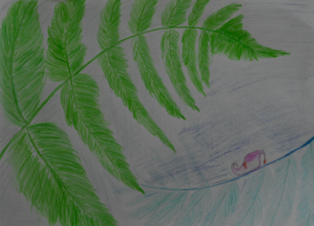 Папоротник карандашом