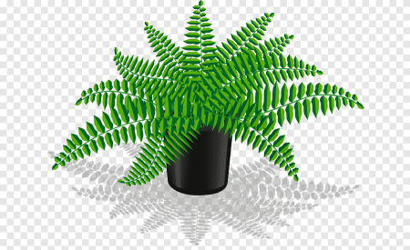 Рисование папоротника в горшке