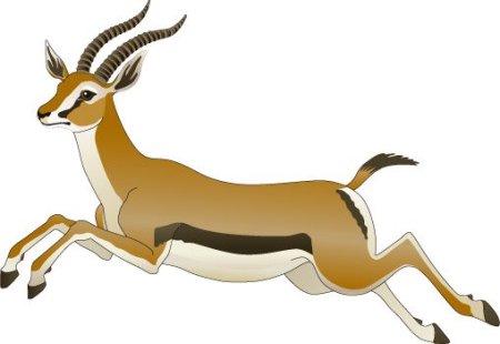 Антилопа для детей