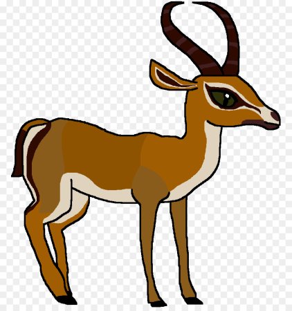 Газели животные для детей