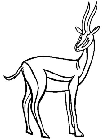 Газель животное карандашом