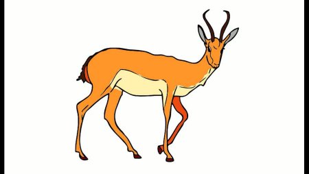 Антилопа Джейран рисунок