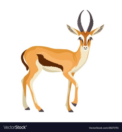 Золотая антилопа на белом фоне