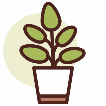 Фикус иконка