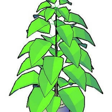 Фикус рисунок для детей