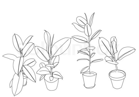 Раскраска фикус в горшке для детей