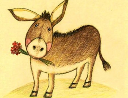 Сен Санс осел