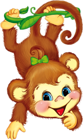 Малыши обезьянки