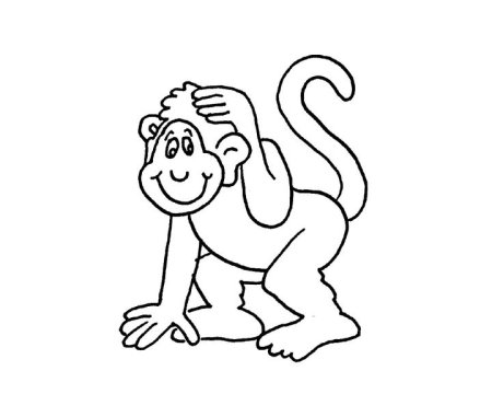 Обезьяна черно белая