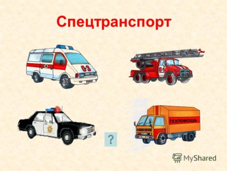 Специальный транспорт для дошкольников