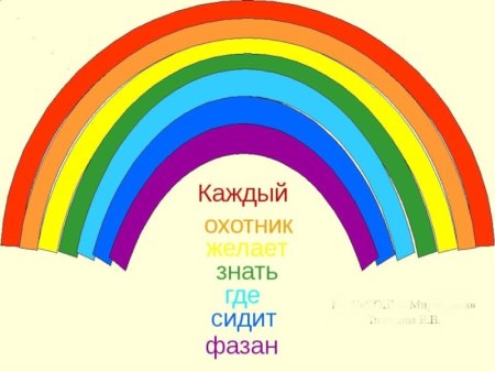 Яркие краски радуги