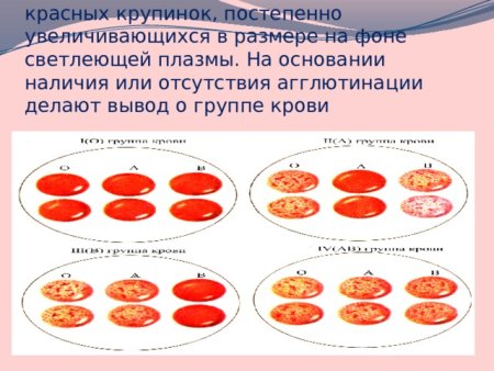 Агглютинация реакция склеивания эритроцитов