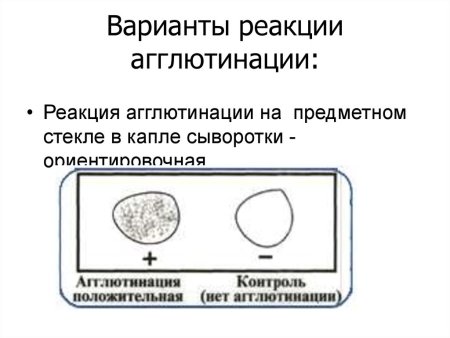 Агглютинация эритроцитов таблица