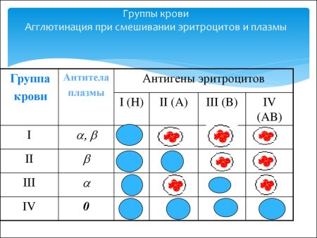 Тирик ҳужайрадаги эндергоник ва экзергоник реакциялар.pptx