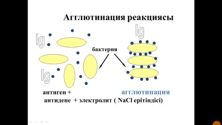 Масштабность в композиции