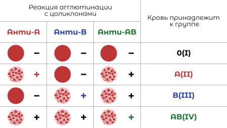 Группы крови таблица агглютинации