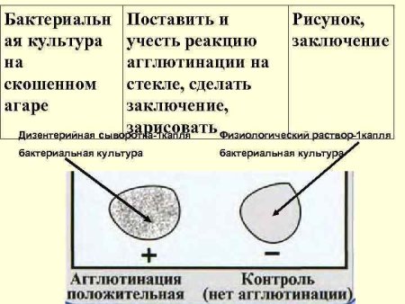 Определение группы крови