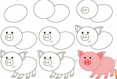 Поэтапное рисование свиньи