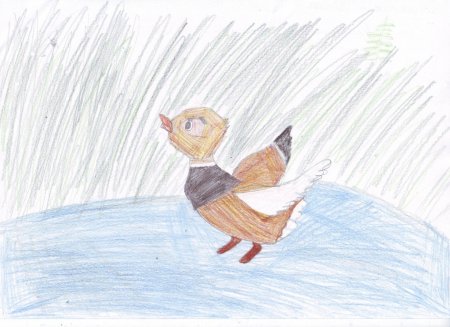 Серая шейка рисунок для читательского дневника легкий