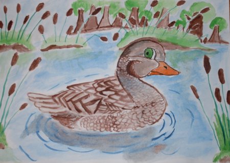 Серая шейка