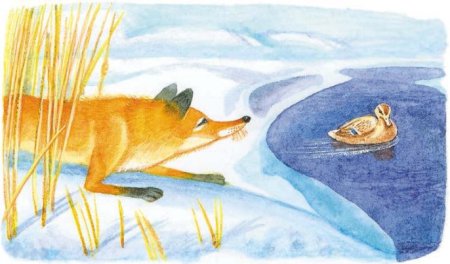 Рисование Мамина Сибиряка серая шейка