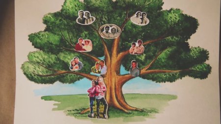 Родословное дерево дуб