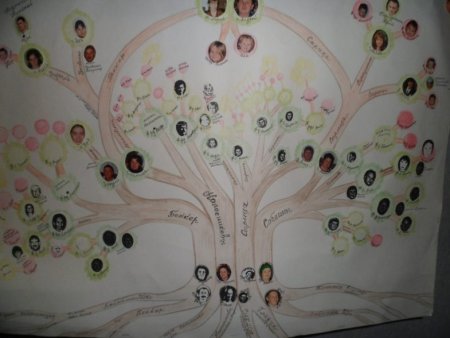 Родословное дерево в школу