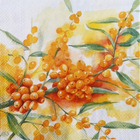 Картины с облепихой