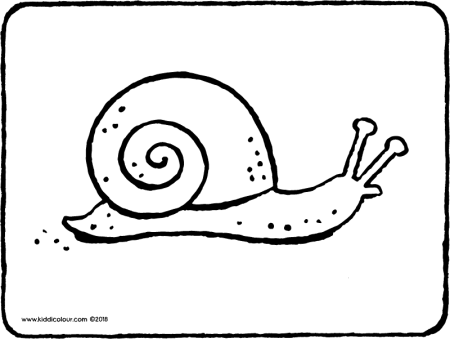 Схематичное изображение улитки