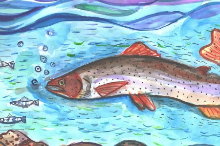 Хабаровский край рисунки детей